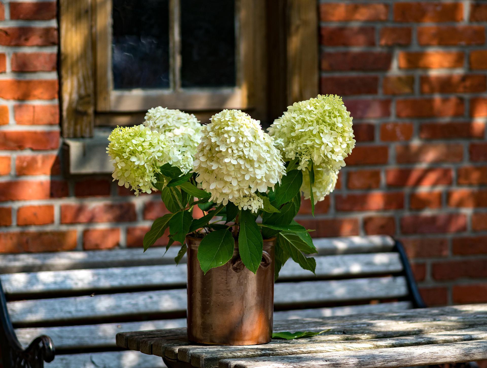 Budget-Friendly DIY Outdoor Wedding Ideas